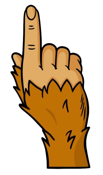 joint support dog treats